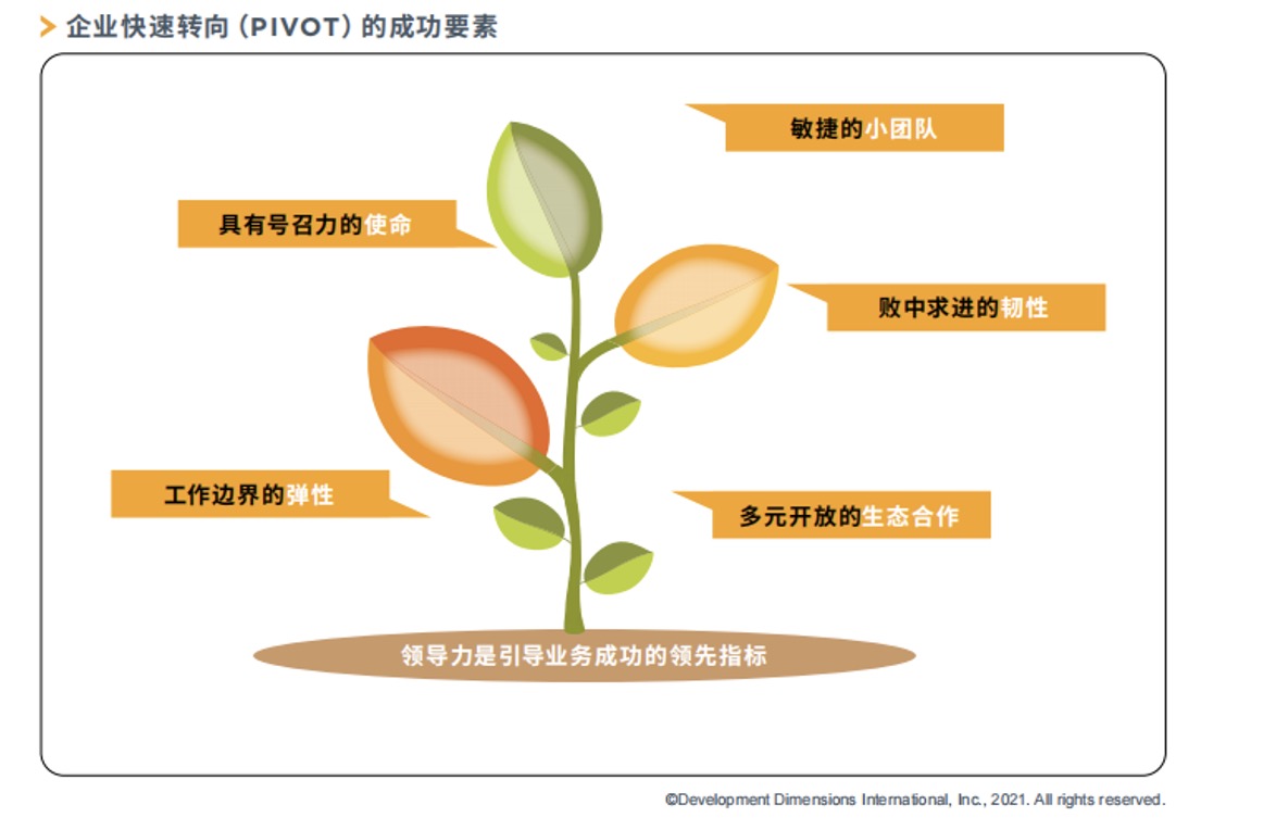 企业战略管理